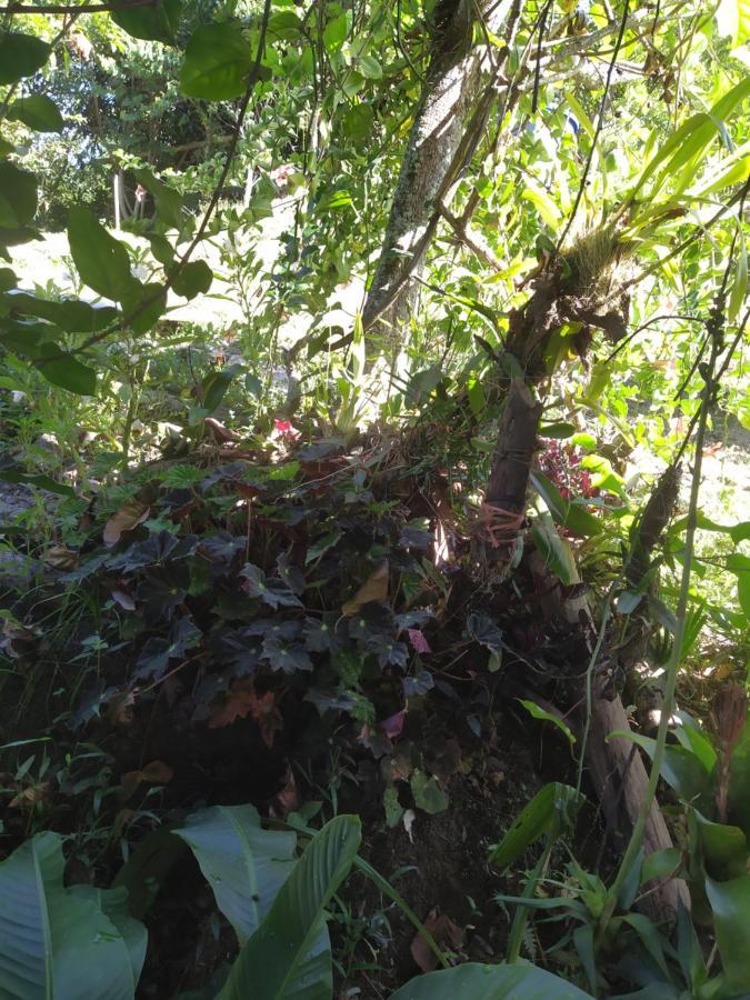 Eco Aldea Topacio Sasaima Extérieur photo